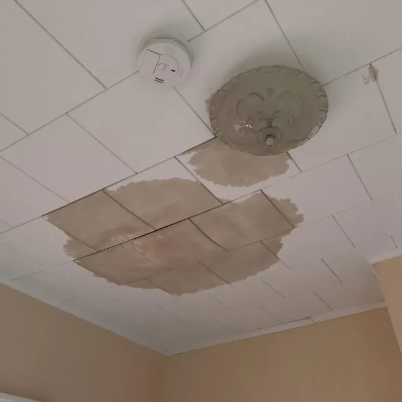 Ceiling Water Damage Repair in Glenwood, MN